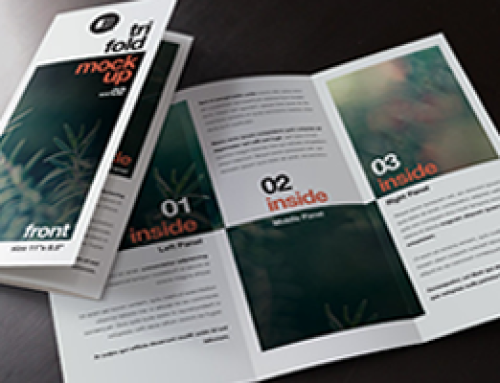 Tri – Fold